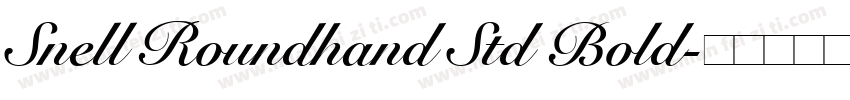 Snell Roundhand Std Bold字体转换